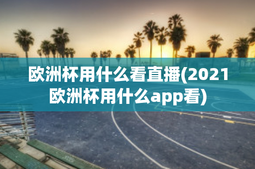 欧洲杯用什么看直播(2021欧洲杯用什么app看)