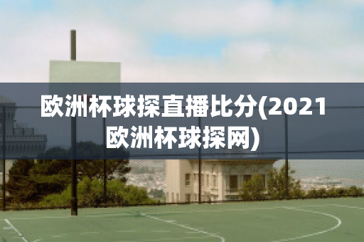 欧洲杯球探直播比分(2021欧洲杯球探网)