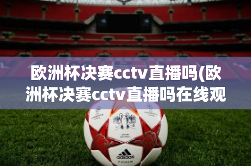 欧洲杯决赛cctv直播吗(欧洲杯决赛cctv直播吗在线观看)