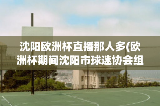 沈阳欧洲杯直播那人多(欧洲杯期间沈阳市球迷协会组织)