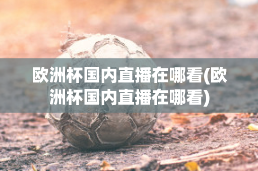 欧洲杯国内直播在哪看(欧洲杯国内直播在哪看)