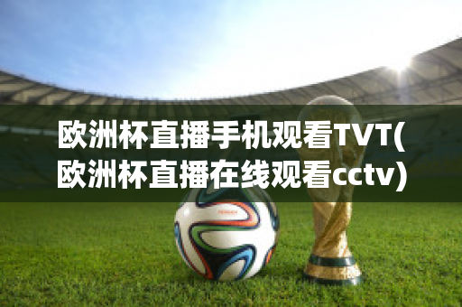 欧洲杯直播手机观看TVT(欧洲杯直播在线观看cctv)