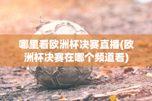 哪里看欧洲杯决赛直播(欧洲杯决赛在哪个频道看)