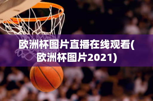 欧洲杯图片直播在线观看(欧洲杯图片2021)