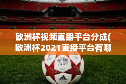 欧洲杯视频直播平台分成(欧洲杯2021直播平台有哪些)