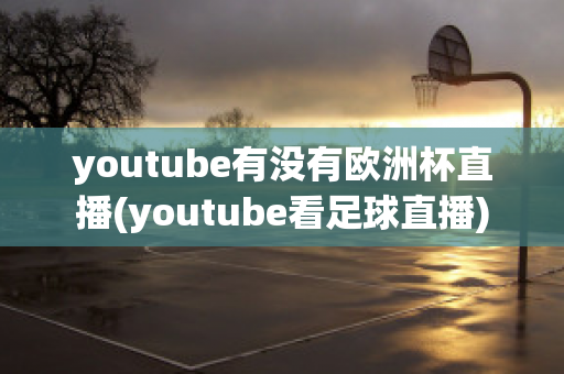 youtube有没有欧洲杯直播(youtube看足球直播)