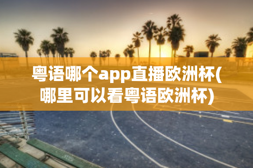 粤语哪个app直播欧洲杯(哪里可以看粤语欧洲杯)