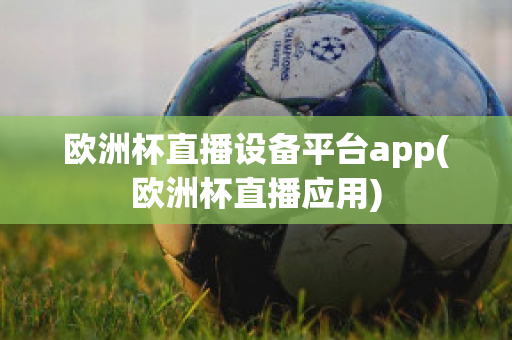 欧洲杯直播设备平台app(欧洲杯直播应用)