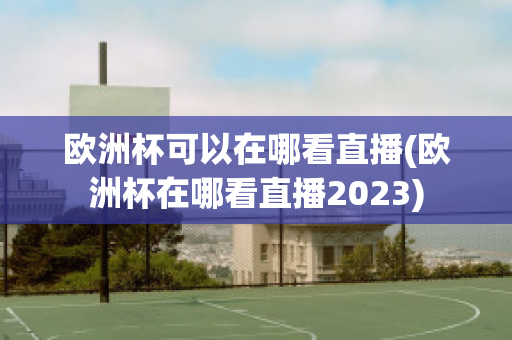 欧洲杯可以在哪看直播(欧洲杯在哪看直播2023)