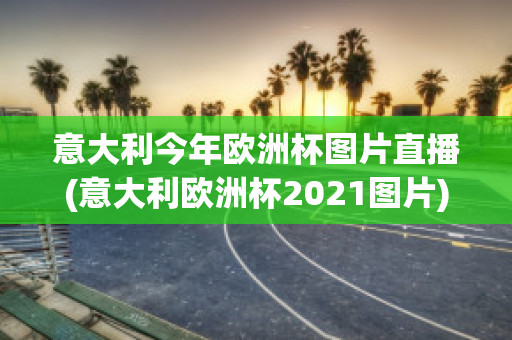 意大利今年欧洲杯图片直播(意大利欧洲杯2021图片)