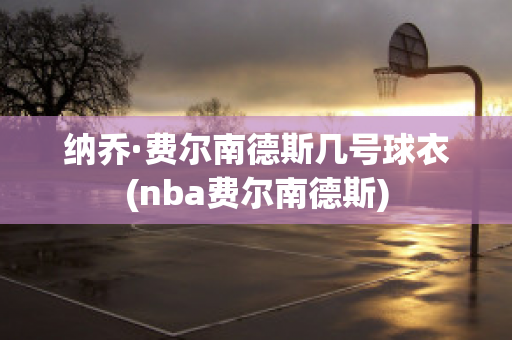 纳乔·费尔南德斯几号球衣(nba费尔南德斯)