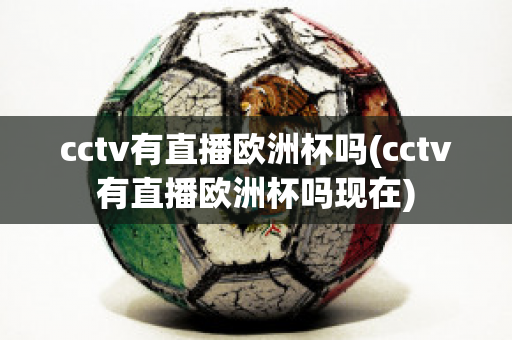 cctv有直播欧洲杯吗(cctv有直播欧洲杯吗现在)