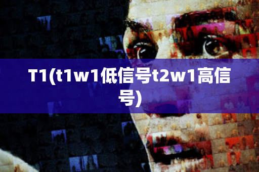 T1(t1w1低信号t2w1高信号)