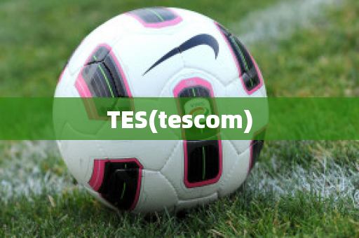 TES(tescom)