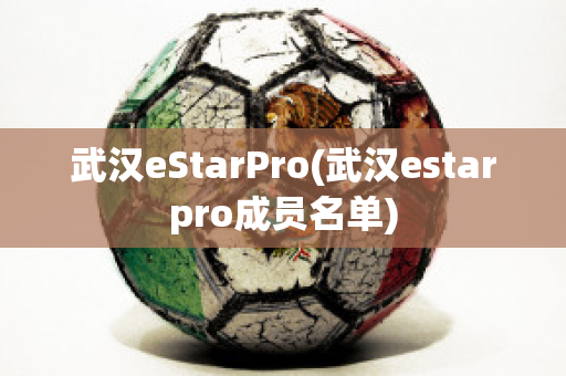 武汉eStarPro(武汉estarpro成员名单)