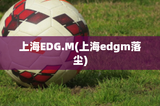 上海EDG.M(上海edgm落尘)