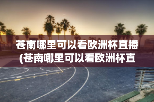 苍南哪里可以看欧洲杯直播(苍南哪里可以看欧洲杯直播的地方)