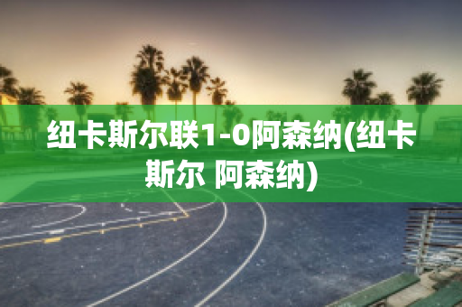 纽卡斯尔联1-0阿森纳(纽卡斯尔 阿森纳)