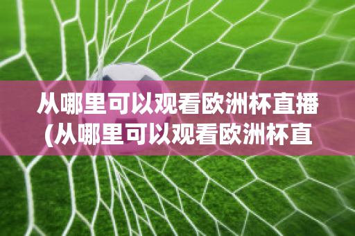 从哪里可以观看欧洲杯直播(从哪里可以观看欧洲杯直播回放)