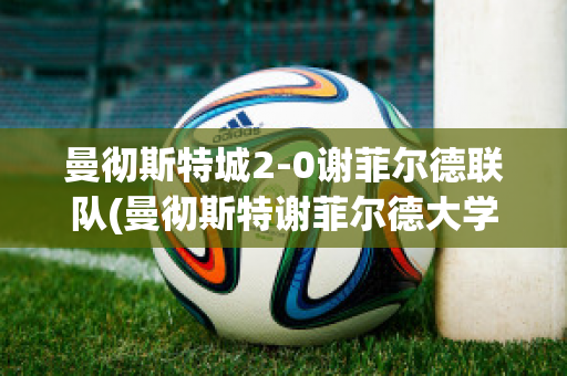 曼彻斯特城2-0谢菲尔德联队(曼彻斯特谢菲尔德大学)