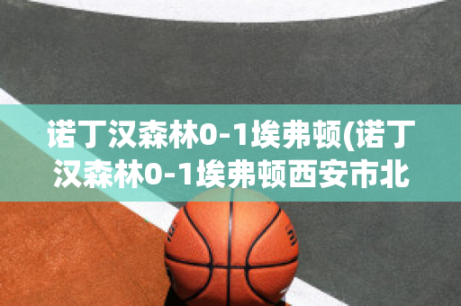 诺丁汉森林0-1埃弗顿(诺丁汉森林0-1埃弗顿西安市北郊保安招聘)