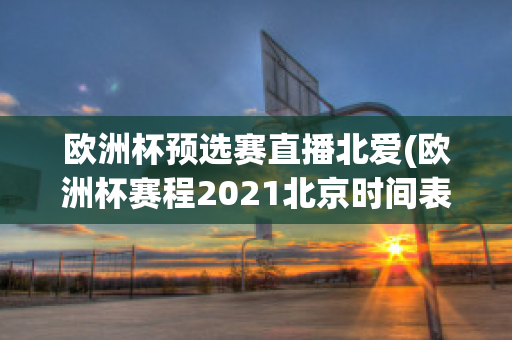 欧洲杯预选赛直播北爱(欧洲杯赛程2021北京时间表)