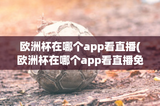 欧洲杯在哪个app看直播(欧洲杯在哪个app看直播免费)