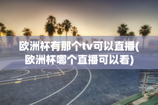 欧洲杯有那个tv可以直播(欧洲杯哪个直播可以看)