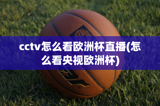 cctv怎么看欧洲杯直播(怎么看央视欧洲杯)