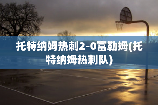 托特纳姆热刺2-0富勒姆(托特纳姆热刺队)