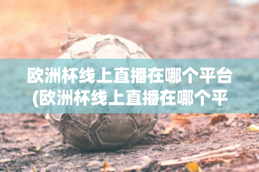 欧洲杯线上直播在哪个平台(欧洲杯线上直播在哪个平台可以看)