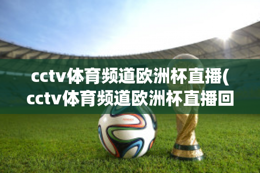 cctv体育频道欧洲杯直播(cctv体育频道欧洲杯直播回放)