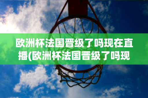 欧洲杯法国晋级了吗现在直播(欧洲杯法国晋级了吗现在直播在哪看)