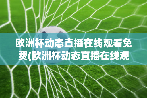 欧洲杯动态直播在线观看免费(欧洲杯动态直播在线观看免费高清)