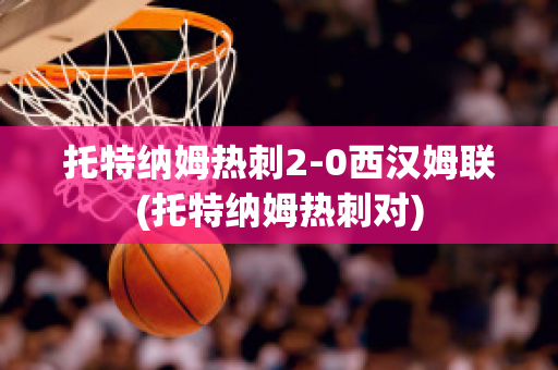 托特纳姆热刺2-0西汉姆联(托特纳姆热刺对)