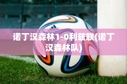 诺丁汉森林1-0利兹联(诺丁汉森林队)