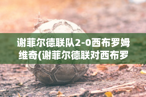 谢菲尔德联队2-0西布罗姆维奇(谢菲尔德联对西布罗维奇)