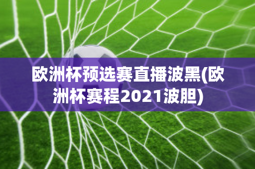 欧洲杯预选赛直播波黑(欧洲杯赛程2021波胆)