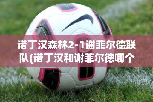 诺丁汉森林2-1谢菲尔德联队(诺丁汉和谢菲尔德哪个城市好)