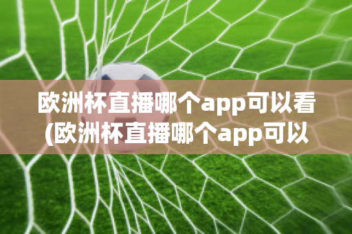 欧洲杯直播哪个app可以看(欧洲杯直播哪个app可以看到)