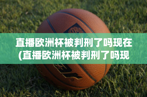 直播欧洲杯被判刑了吗现在(直播欧洲杯被判刑了吗现在还能看吗)