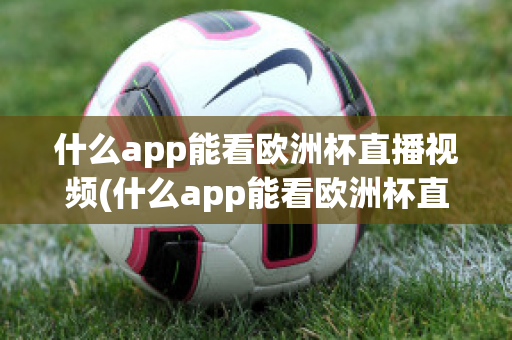 什么app能看欧洲杯直播视频(什么app能看欧洲杯直播视频的)