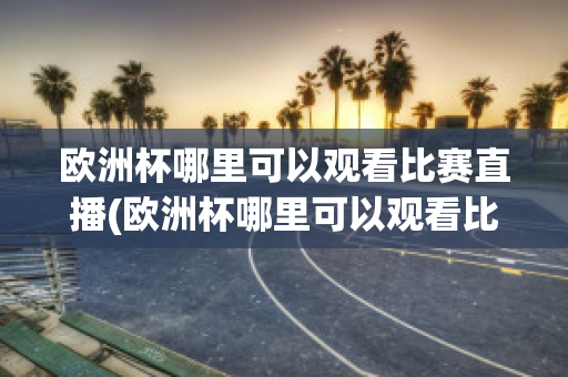 欧洲杯哪里可以观看比赛直播(欧洲杯哪里可以观看比赛直播回放)