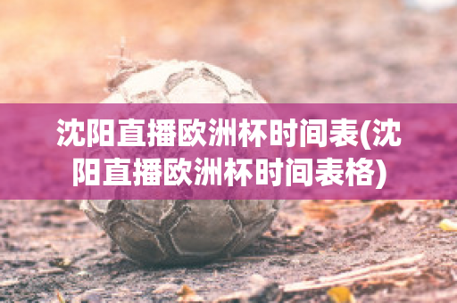 沈阳直播欧洲杯时间表(沈阳直播欧洲杯时间表格)