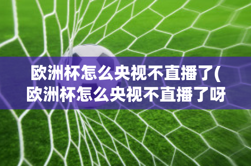 欧洲杯怎么央视不直播了(欧洲杯怎么央视不直播了呀)