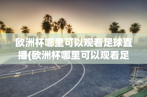 欧洲杯哪里可以观看足球直播(欧洲杯哪里可以观看足球直播回放)