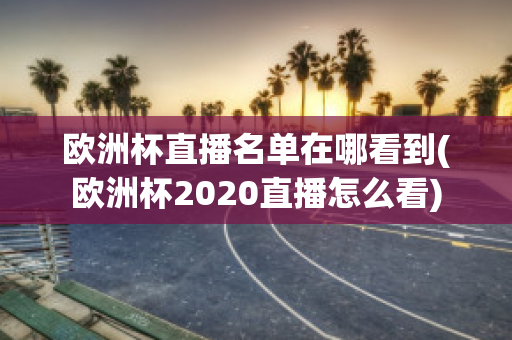 欧洲杯直播名单在哪看到(欧洲杯2020直播怎么看)