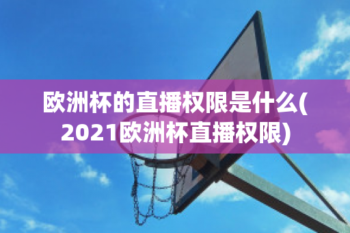 欧洲杯的直播权限是什么(2021欧洲杯直播权限)