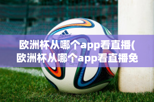 欧洲杯从哪个app看直播(欧洲杯从哪个app看直播免费)