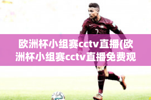 欧洲杯小组赛cctv直播(欧洲杯小组赛cctv直播免费观看)